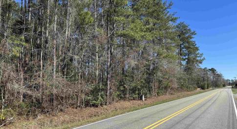 View of road featuring a wooded view