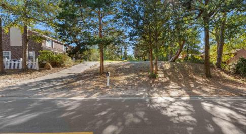 View of yard with concrete driveway