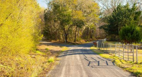 View of road