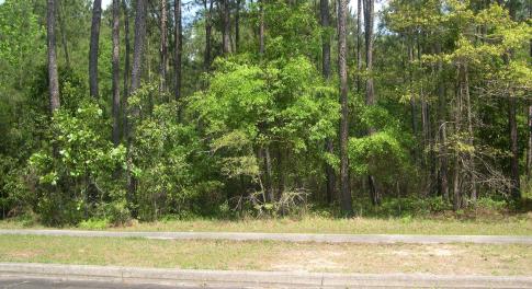 View of landscape featuring a forest view