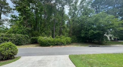 View of Lot from the Road