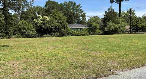 View of grassy yard