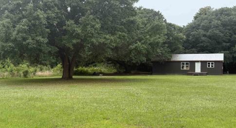 View of grassy yard featuring a wooded view