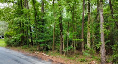 View of asphalt road featuring a view of trees