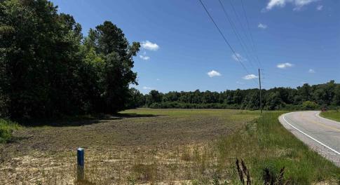 View of asphalt road with a view of trees