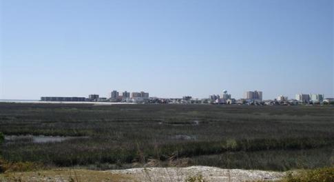 View of yard with a skyline view
