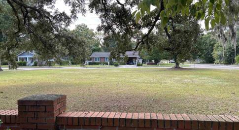 View of green lawn