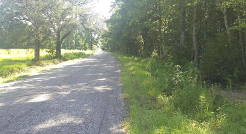 View of asphalt street