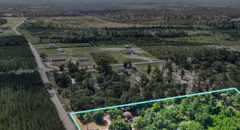 View of rural area with a forest and property parc