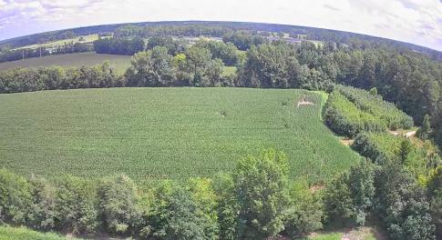 Aerial view of property and surrounding area with