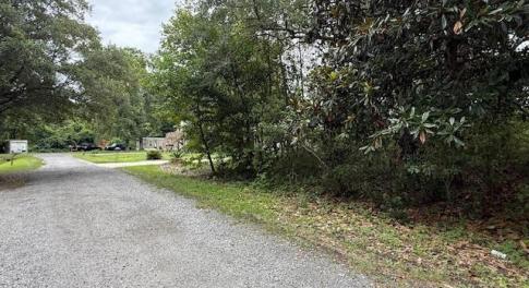 View of dirt / gravel road