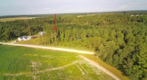 View from above of property featuring a heavily wo