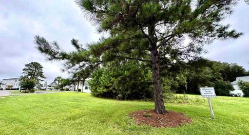 View of green lawn