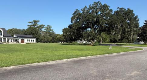 View of asphalt street with curbs and view of wood