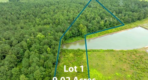 Aerial overview of property's location featuring a