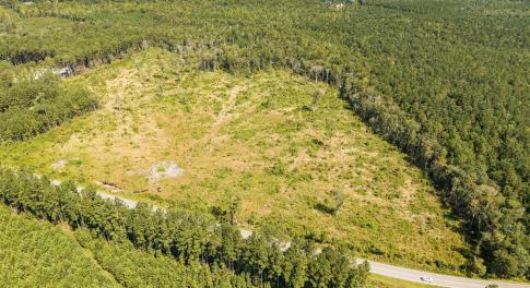 Drone / aerial view of a forest