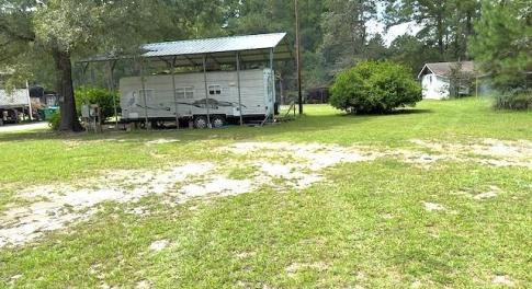 View of grassy yard featuring view of scattered tr