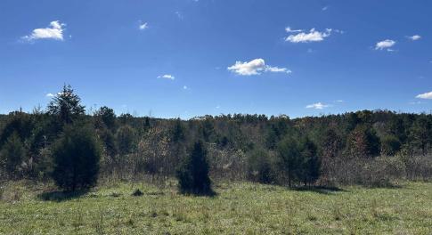 View of undeveloped land