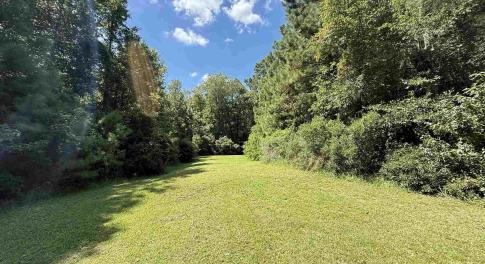 View of grassy yard featuring a forest view
