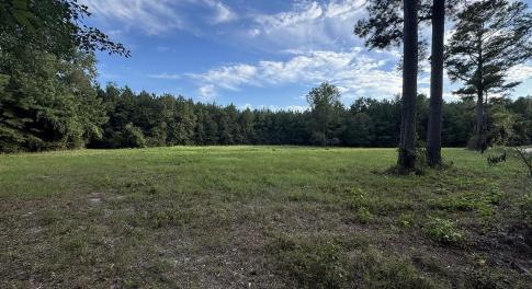 View of cleared 2 acres with a wooded view