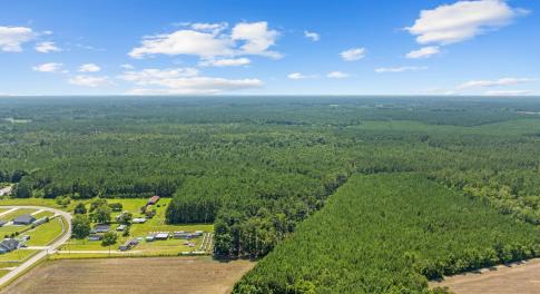 Bird's eye view of a heavily wooded area