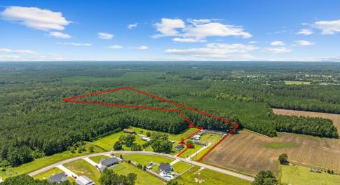 Bird's eye view of a heavily wooded area