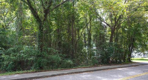View of asphalt street featuring sidewalks