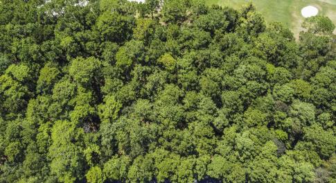 View of property location with a golf club