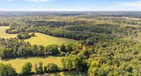 Aerial view of a heavily wooded area