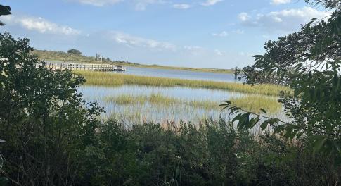 Water view