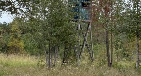 View of undeveloped land