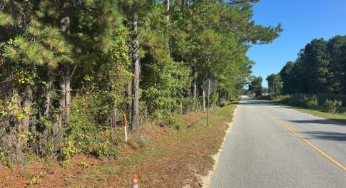 View of asphalt road