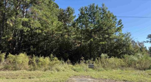 View of undeveloped land