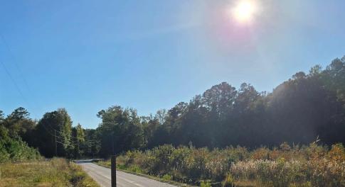 View of dirt / gravel road