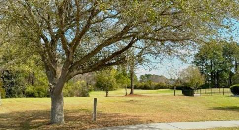 View of home's community with a lawn