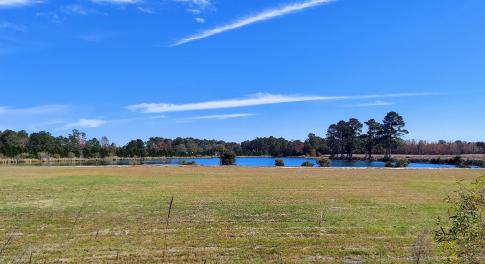 View of green lawn featuring a water view and a wo