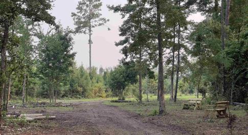 View of undeveloped land