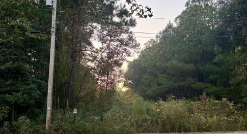 View of asphalt road featuring view of wooded area