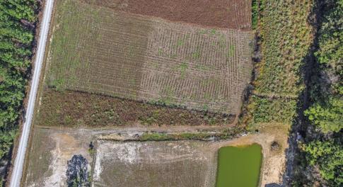 View of rural area featuring abundant farmland