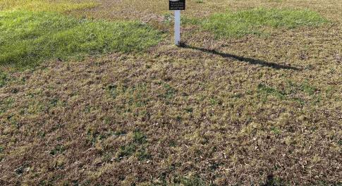 WATERWAY PALMS RESIDENTIAL LOT