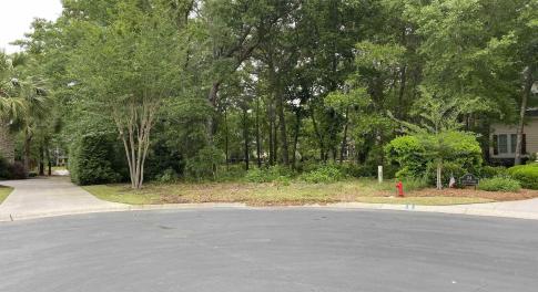 View of asphalt street with curbs