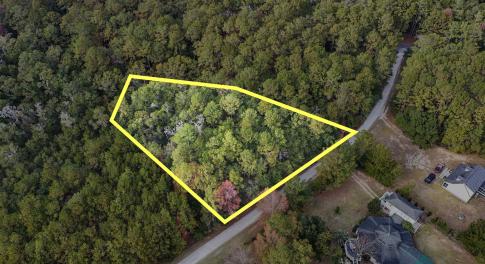 Drone / aerial view of a forest