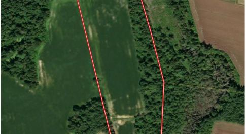 Aerial view of property's location