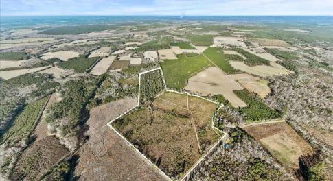 Aerial view of property's location with rows of cr
