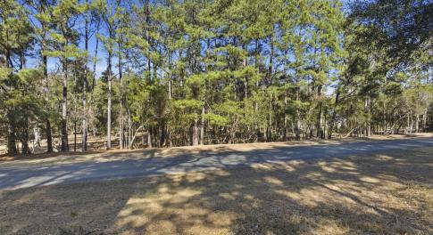 View of road featuring a forest view