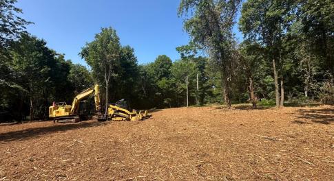 Homesite cleared and driveway in