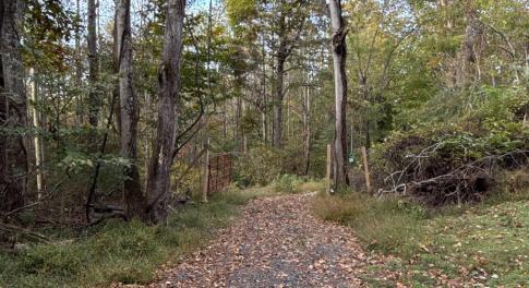 View from driveway looking towards Ramey Hodge Drive.