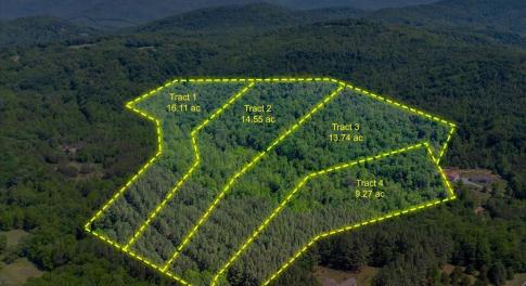 Lot 1 Foxfire Ln