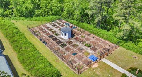 garden plot