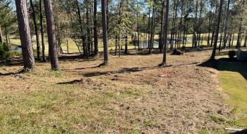 IMG_20241022_111240~2